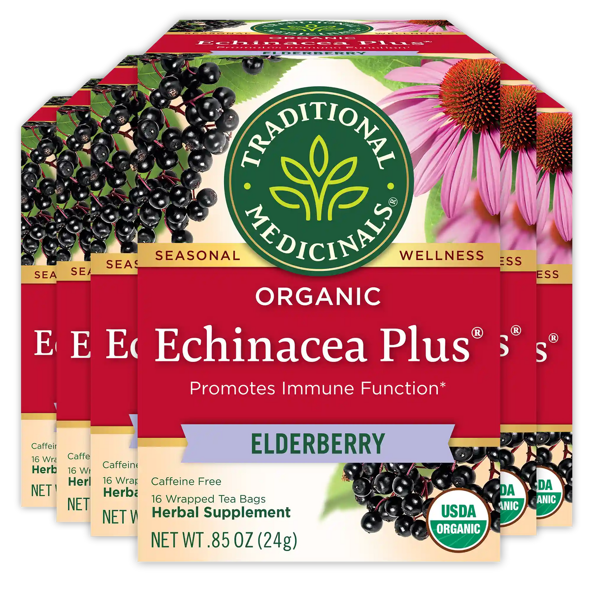 Echinacea Plus® Elderberry Tea (Wholesale)