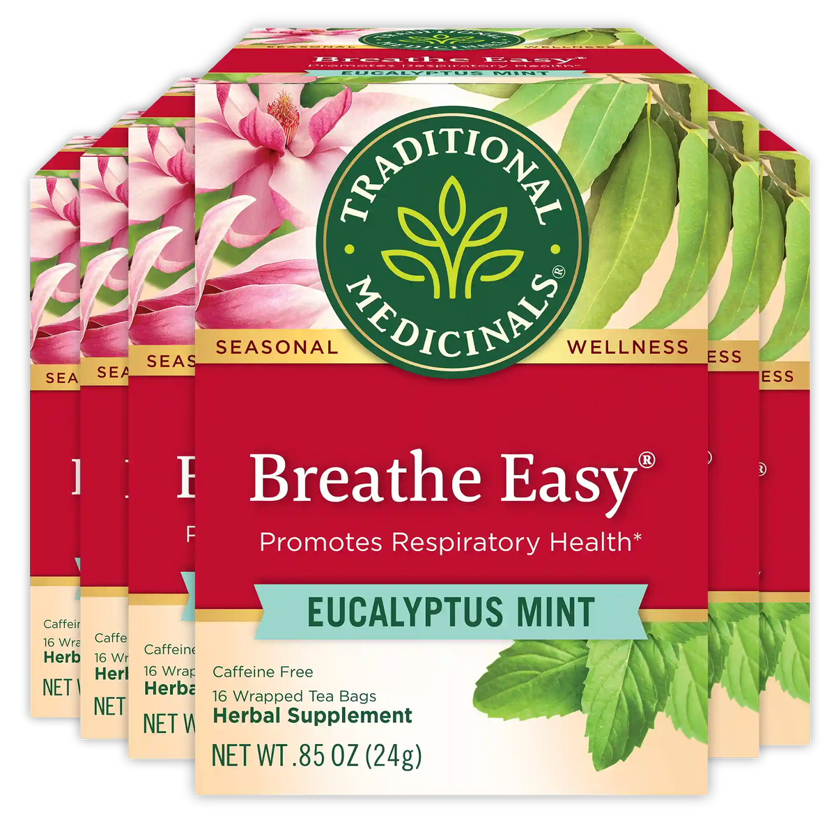 Breathe Easy® Tea (Wholesale)