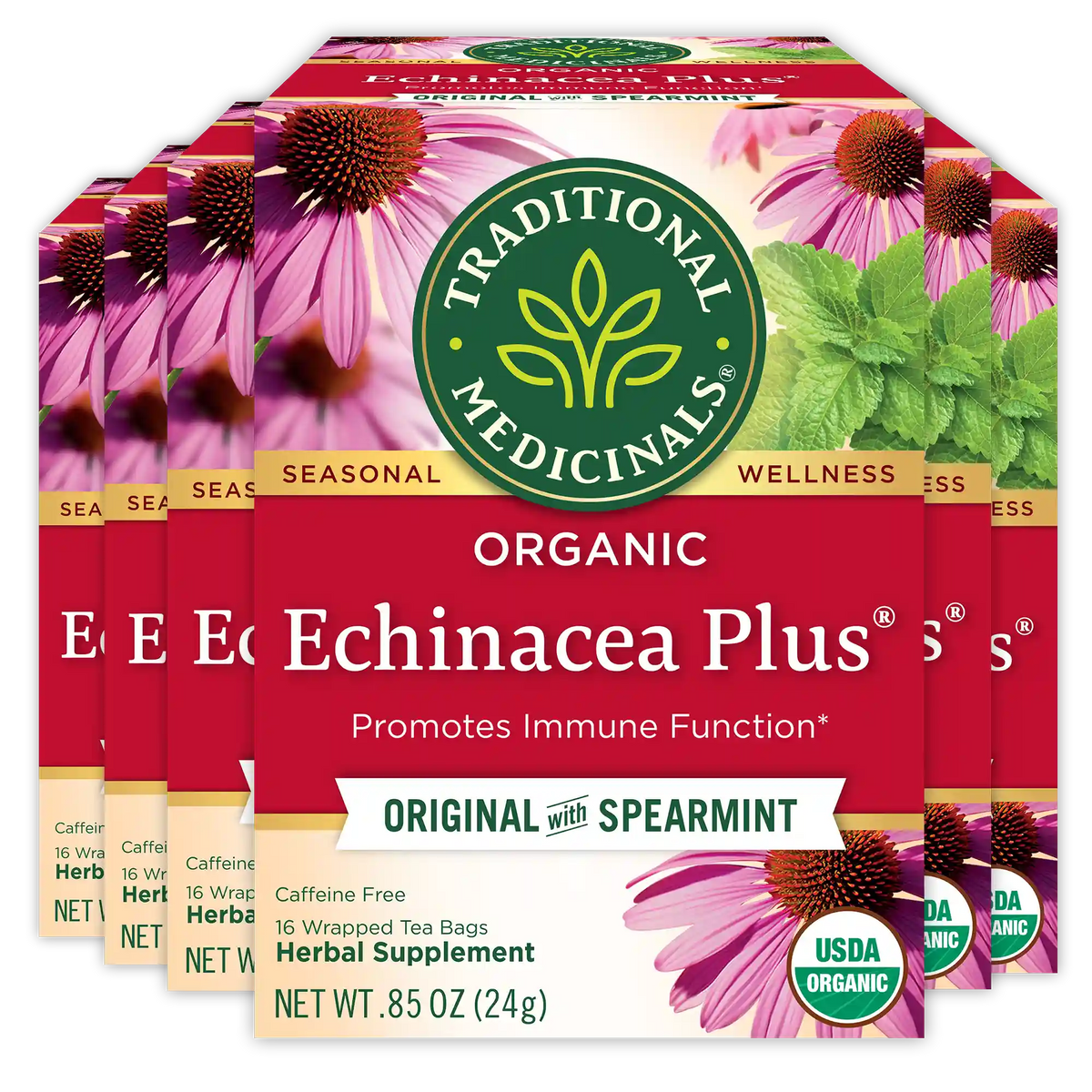 Echinacea Plus® Tea (Wholesale)